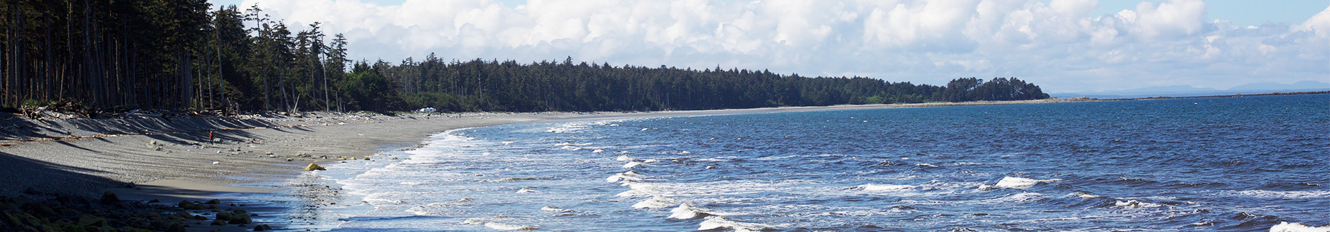 Coast Mountain Ecology