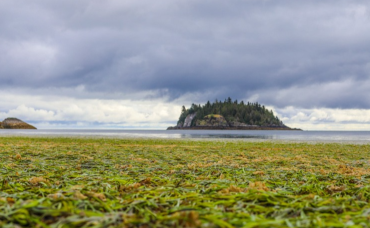 haida-gwai-field-school-thumb